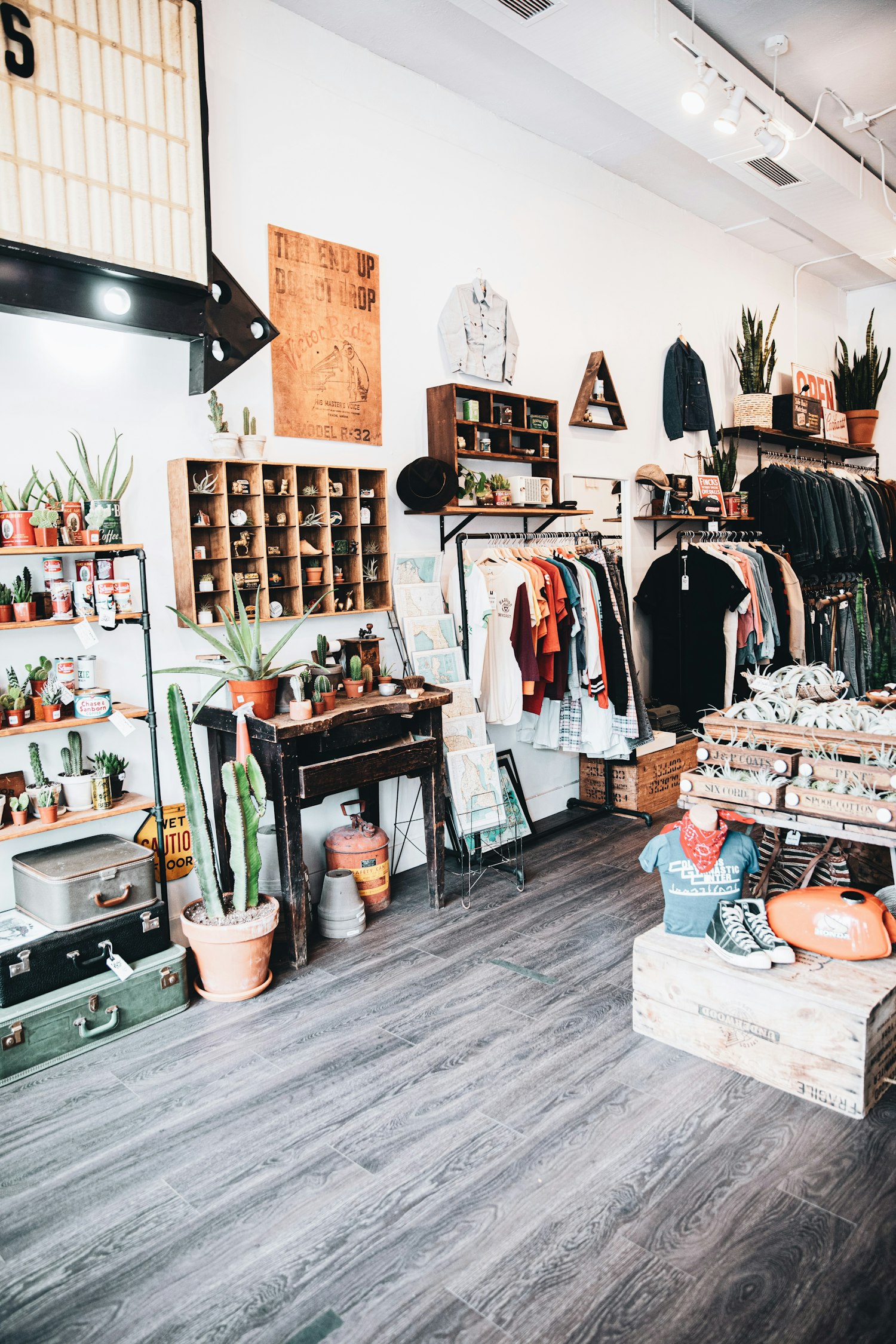 Interieur met houten rekken, planten en gecureerde objecten